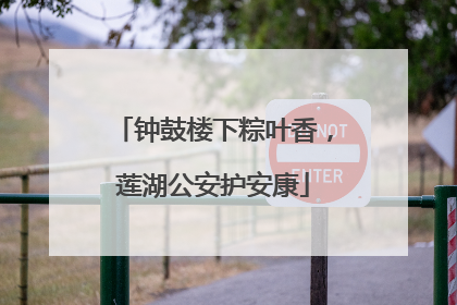 钟鼓楼下粽叶香，莲湖公安护安康