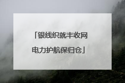 银线织就丰收网 电力护航保归仓