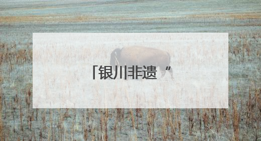 银川非遗“活”出圈