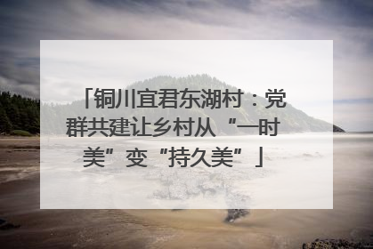 铜川宜君东湖村：党群共建让乡村从“一时美”变“持久美”