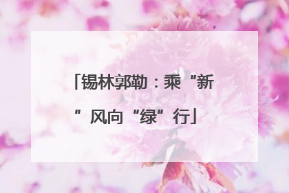 锡林郭勒：乘“新”风向“绿”行