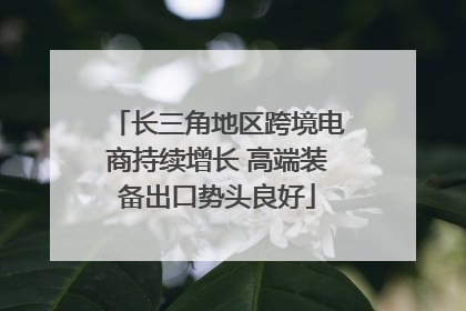 长三角地区跨境电商持续增长 高端装备出口势头良好