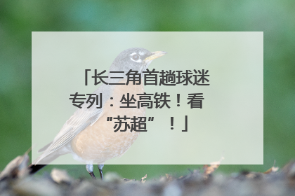 长三角首趟球迷专列：坐高铁！看“苏超”！