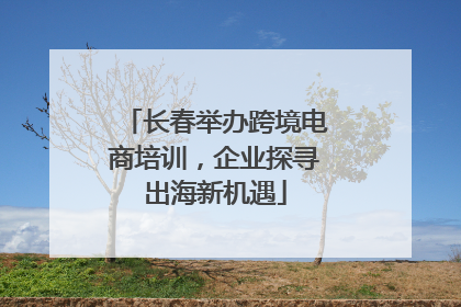 长春举办跨境电商培训，企业探寻出海新机遇