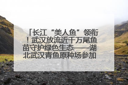 长江“美人鱼”领衔！武汉放流近千万尾鱼苗守护绿色生态——湖北武汉青鱼原种场参加2025年“全国放鱼日”增殖放流活动