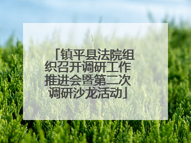 镇平县法院组织召开调研工作推进会暨第二次调研沙龙活动