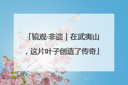 镜观·非遗｜在武夷山，这片叶子创造了传奇