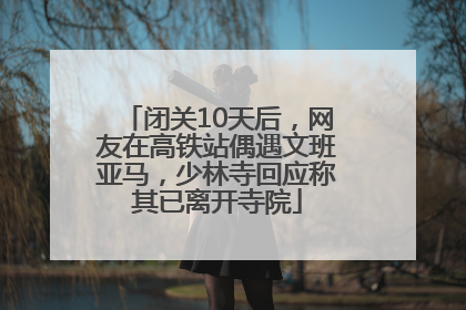 闭关10天后，网友在高铁站偶遇文班亚马，少林寺回应称其已离开寺院