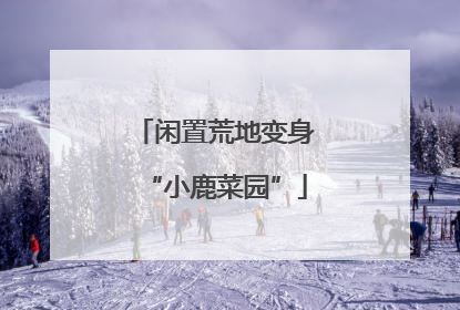 闲置荒地变身“小鹿菜园”