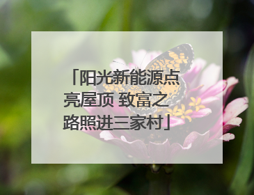 阳光新能源点亮屋顶 致富之路照进三家村