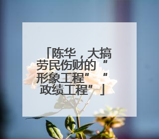 陈华，大搞劳民伤财的“形象工程”“政绩工程”
