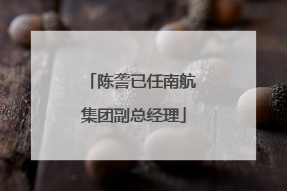 陈詟已任南航集团副总经理