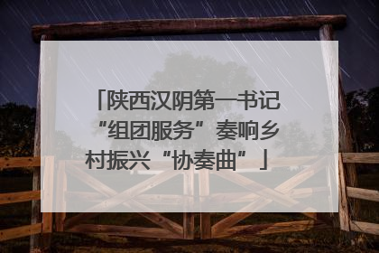 陕西汉阴第一书记“组团服务”奏响乡村振兴“协奏曲”