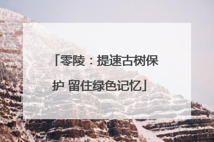 零陵：提速古树保护 留住绿色记忆