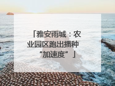 雅安雨城：农业园区跑出播种“加速度”