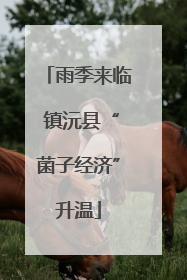 雨季来临 镇沅县“菌子经济”升温