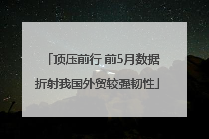 顶压前行 前5月数据折射我国外贸较强韧性