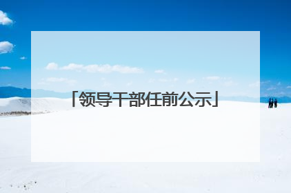 领导干部任前公示