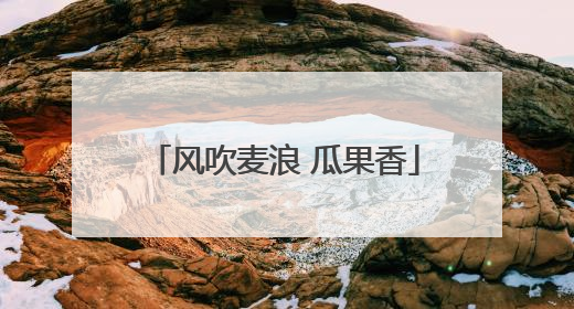 风吹麦浪 瓜果香