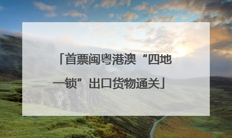 首票闽粤港澳“四地一锁”出口货物通关
