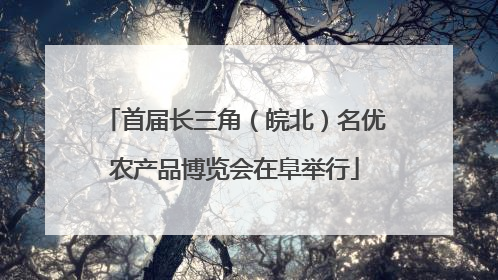 首届长三角（皖北）名优农产品博览会在阜举行