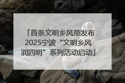 首条文明乡风带发布 2025宁波“文明乡风润四明”系列活动启动