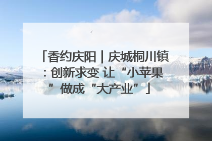 香约庆阳｜庆城桐川镇：创新求变 让“小苹果”做成“大产业”