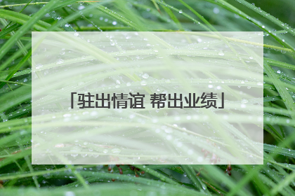 驻出情谊 帮出业绩