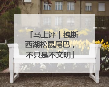 马上评｜拽断西湖松鼠尾巴，不只是不文明
