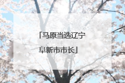 马原当选辽宁阜新市市长