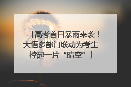 高考首日暴雨来袭！大悟多部门联动为考生撑起一片“晴空”