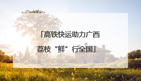 高铁快运助力广西荔枝“鲜”行全国
