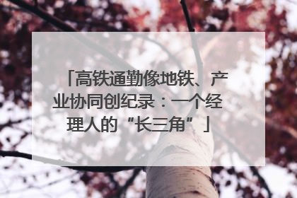 高铁通勤像地铁、产业协同创纪录：一个经理人的“长三角”