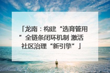 龙南：构建“选育管用”全链条闭环机制 激活社区治理“新引擎”