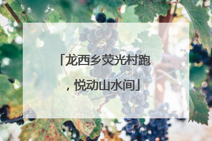 龙西乡荧光村跑，悦动山水间