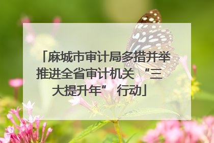 麻城市审计局多措并举推进全省审计机关 “三大提升年” 行动