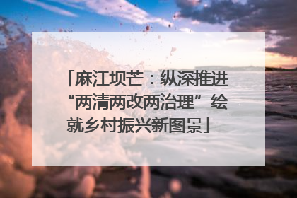 麻江坝芒：纵深推进“两清两改两治理”绘就乡村振兴新图景