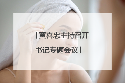 黄喜忠主持召开书记专题会议