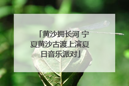 黄沙拥长河 宁夏黄沙古渡上演夏日音乐派对