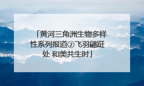 黄河三角洲生物多样性系列报道②飞羽翩跹处 和美共生时