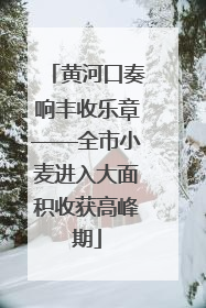 黄河口奏响丰收乐章——全市小麦进入大面积收获高峰期