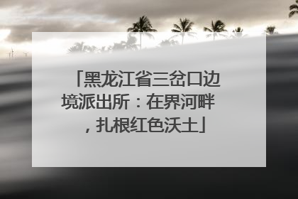 黑龙江省三岔口边境派出所：在界河畔，扎根红色沃土