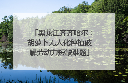 黑龙江齐齐哈尔：胡萝卜无人化种植破解劳动力短缺难题