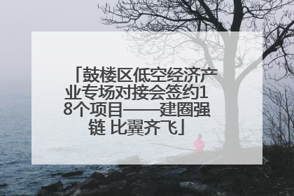 鼓楼区低空经济产业专场对接会签约18个项目——建圈强链 比翼齐飞