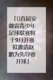 ﻿首届安徽省青少年足球联赛将于9月开赛 拟邀请赵鹏为先导赛开球