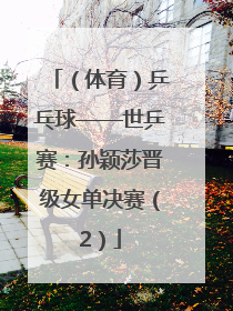 （体育）乒乓球——世乒赛：孙颖莎晋级女单决赛（2）