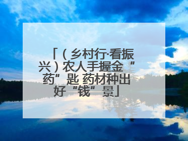 （乡村行·看振兴）农人手握金“药”匙 药材种出好“钱”景