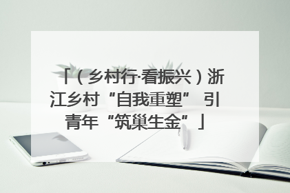 （乡村行·看振兴）浙江乡村“自我重塑” 引青年“筑巢生金”