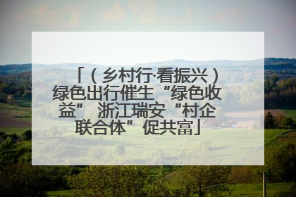 （乡村行·看振兴）绿色出行催生“绿色收益” 浙江瑞安“村企联合体”促共富