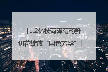 1.2亿枝菏泽芍药鲜切花绽放“国色芳华”